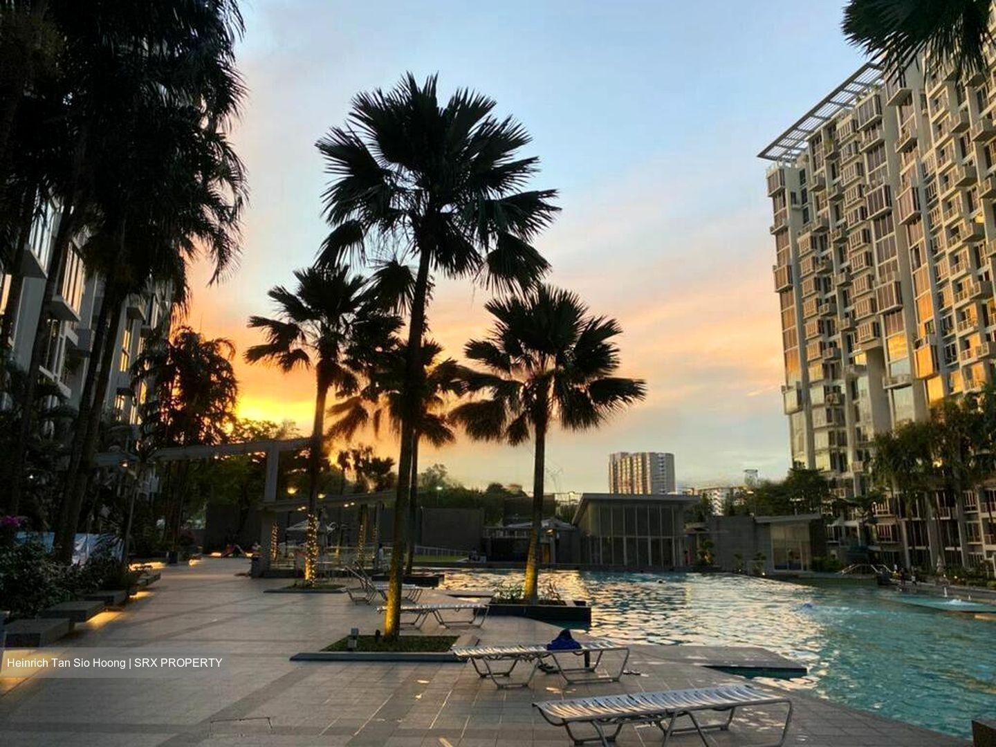 Ang Mo Kio Avenue 8 (D20), Condominium #483465391